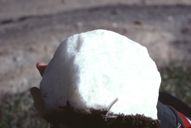 white rock, probably quartz, in a person's hand