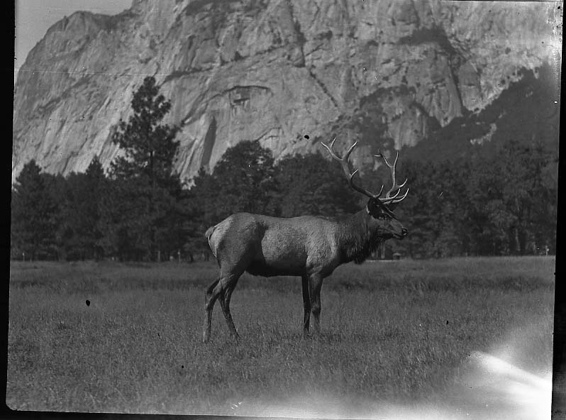 Yosemite National Park