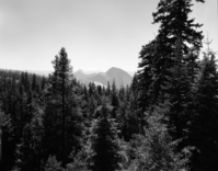 Auto tour. Half Dome from Tioga Road.