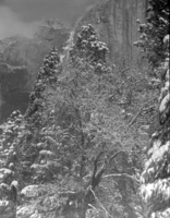Yosemite Fall in Winter, taken from the Museum.