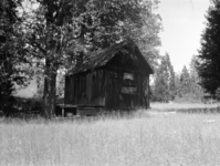 Housing in Foresta (?)