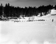 Badger Pass