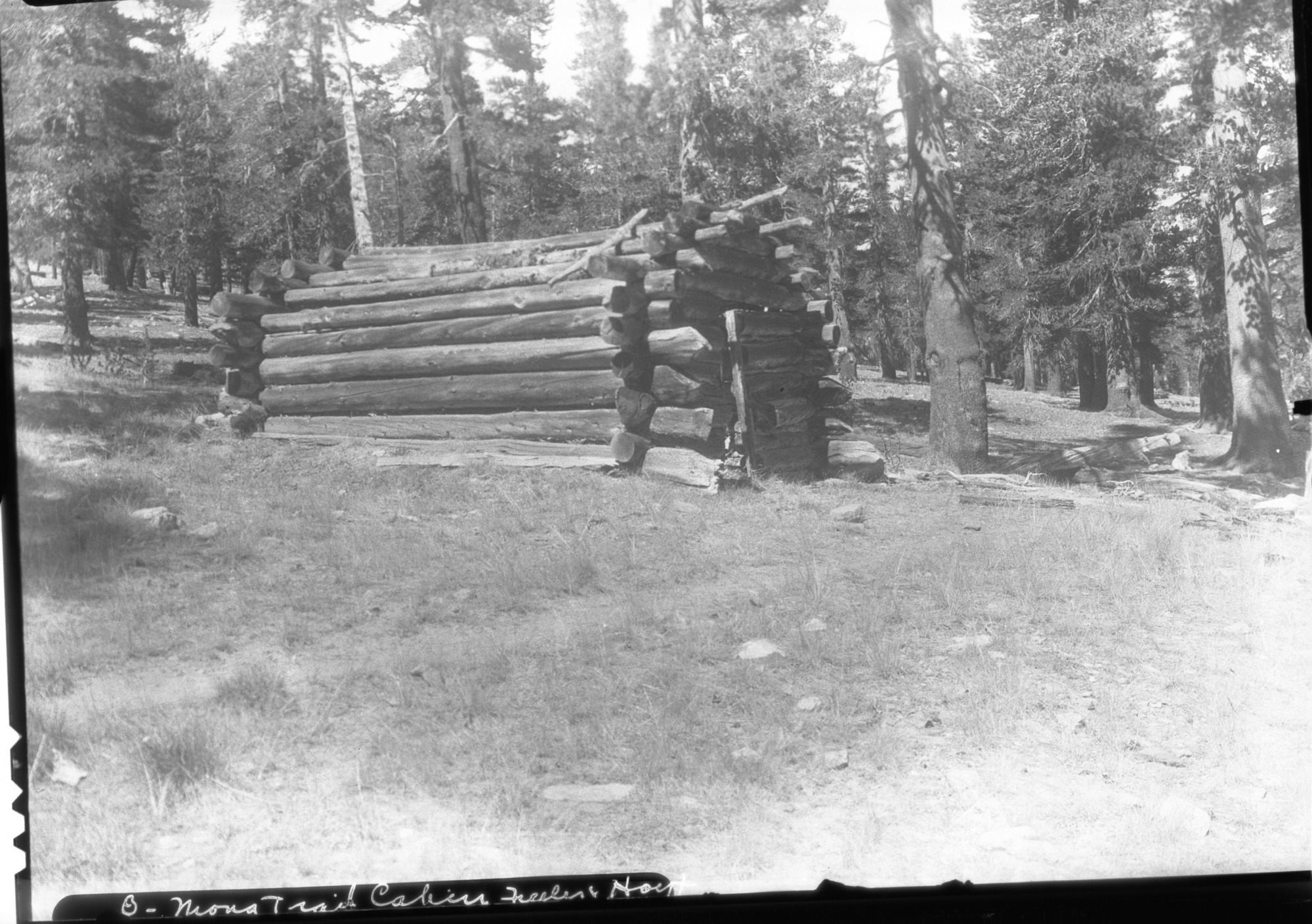 Mono Trail cabin (Fuller and Hoyt?)