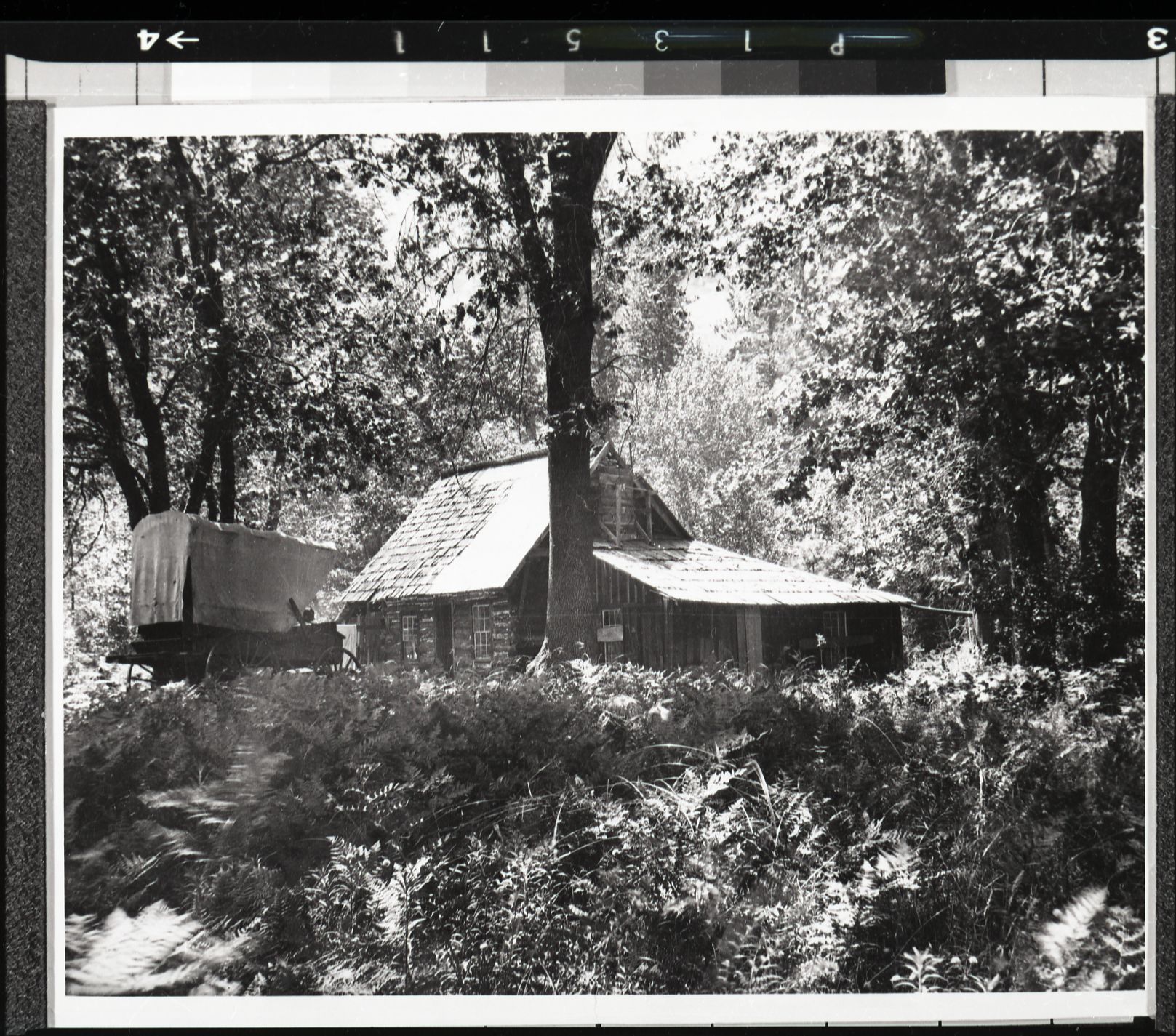 Copy Neg: J. Ernest, 1983. Hutchings' cabin - Yosemite Valley (From Bancroft Library). Original print in the over-sized photo drawer in RL.