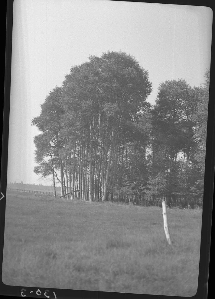 Fort Klamath, Oregon