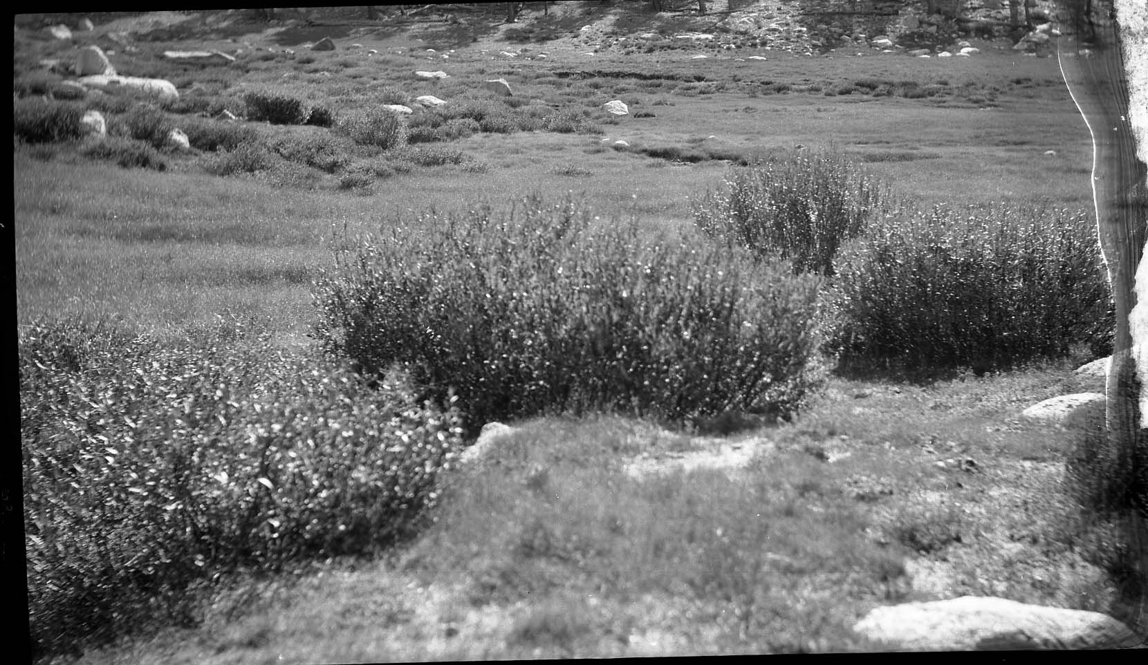 Joseph Dixon Collection