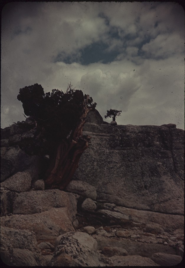 "Find Brush for Kodachrome Box"