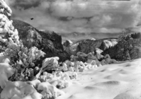 Yosemite Valley from Turtleback Dome. Job. No. 101.