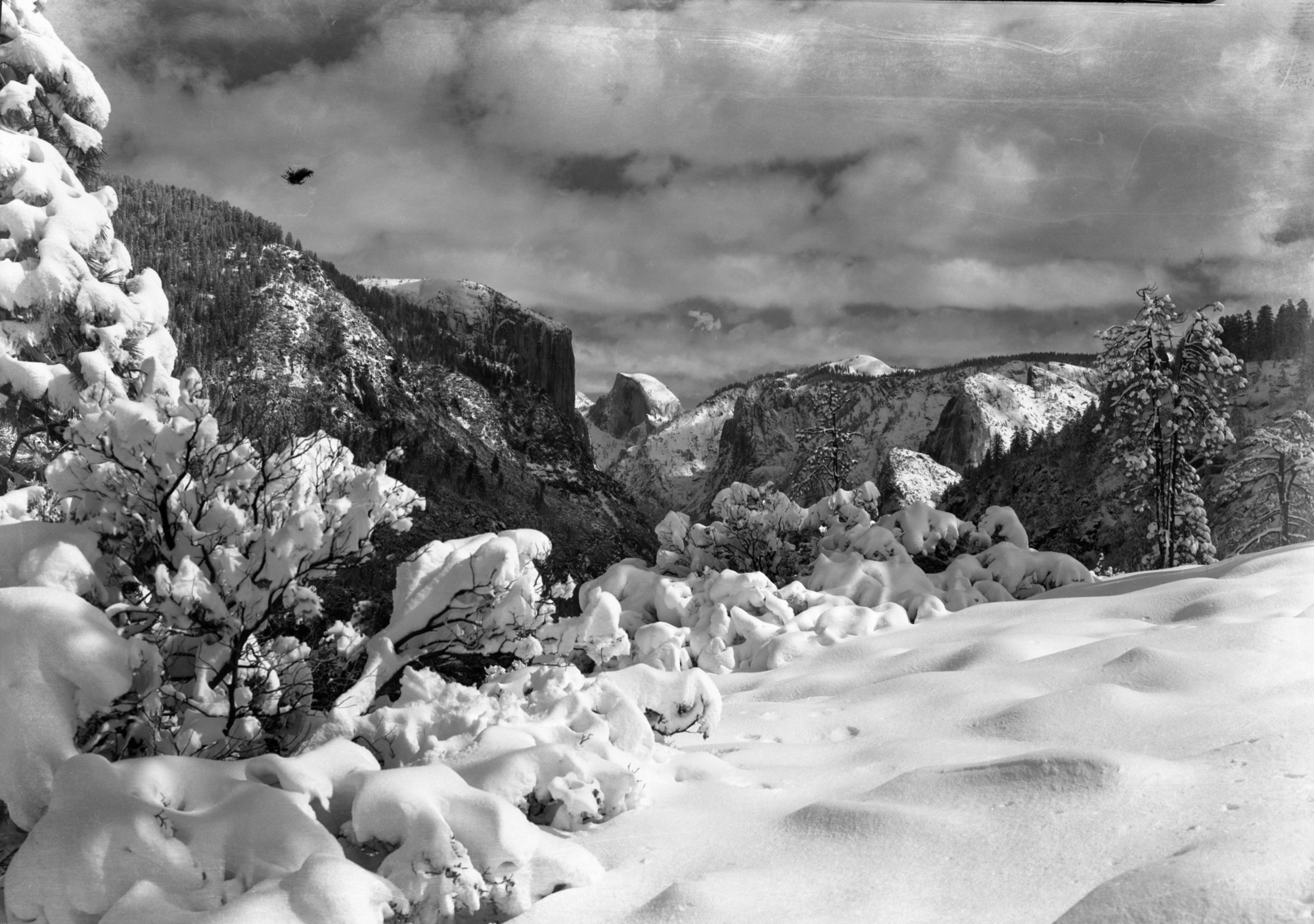Yosemite Valley from Turtleback Dome. Job. No. 101.
