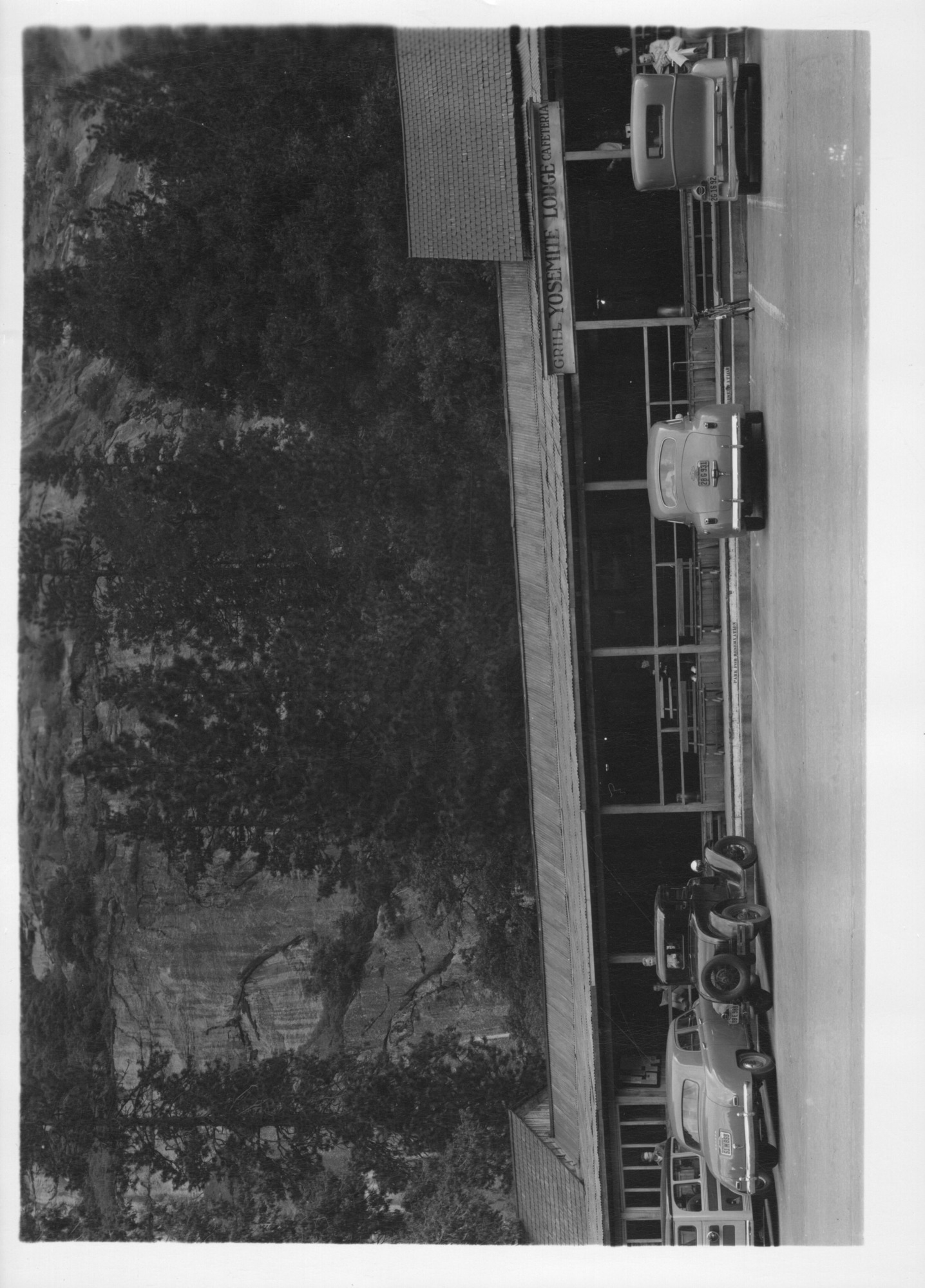 Yosemite Lodge, Yosemite Valley.