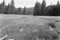 McGurk Meadows looking northeast from bridge.
