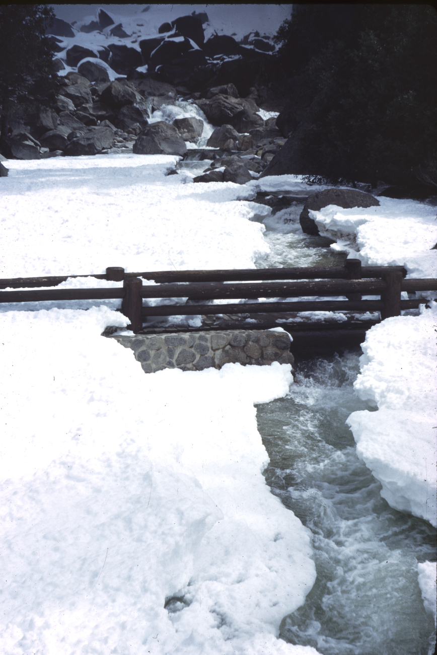 Yosemite Creek