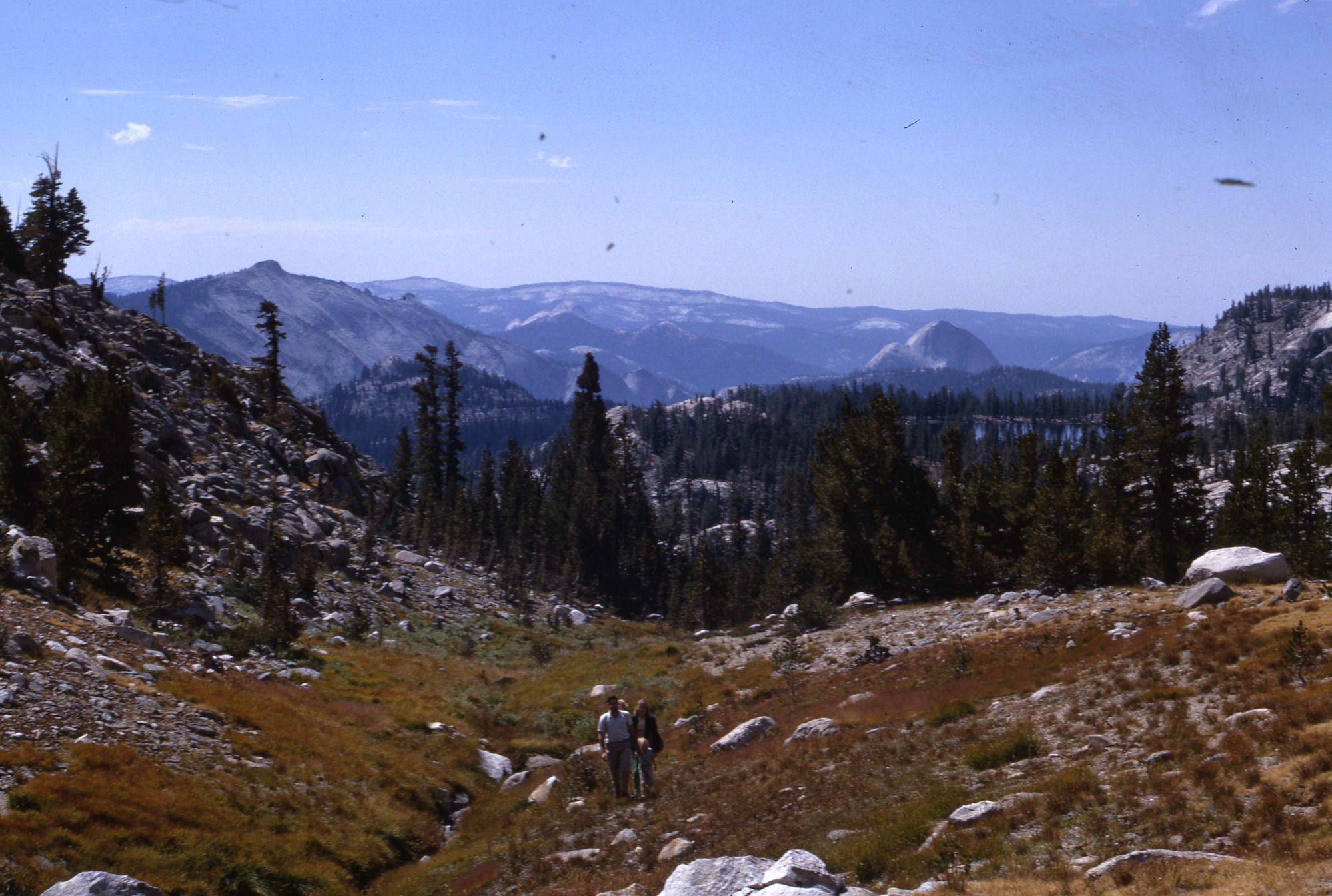 Tuolumne Peak