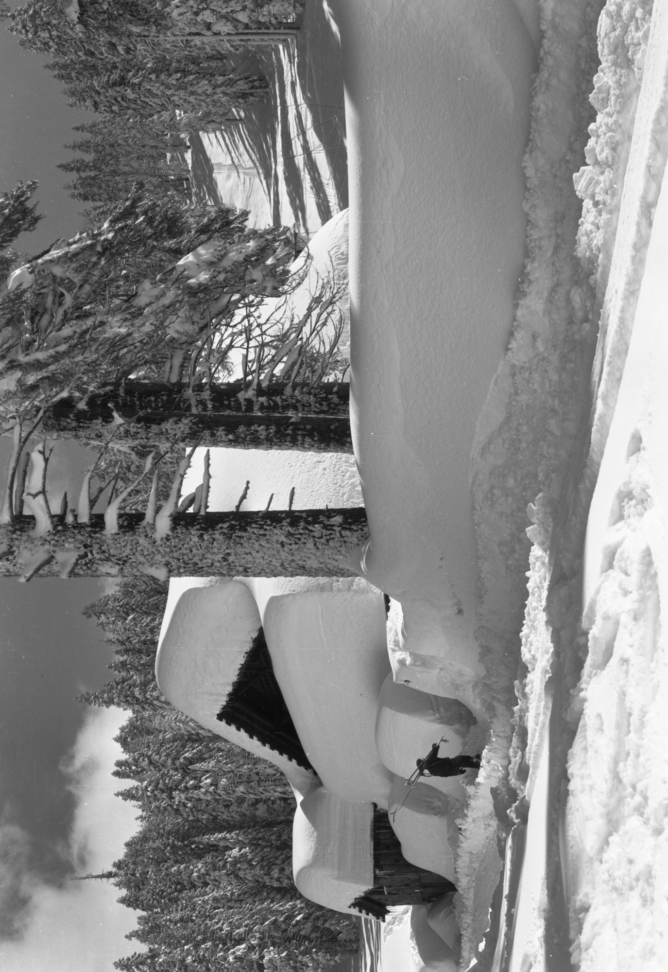 Badger Pass Ski House