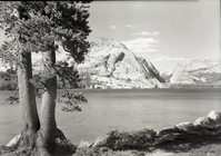 Lake with Lodgepole pine on left.