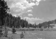Copy Neg: (CP) L. Radanovich, 11/2002. "From Campground looking over Soda Springs Mds. 1/4 mile from Devils Postpile."