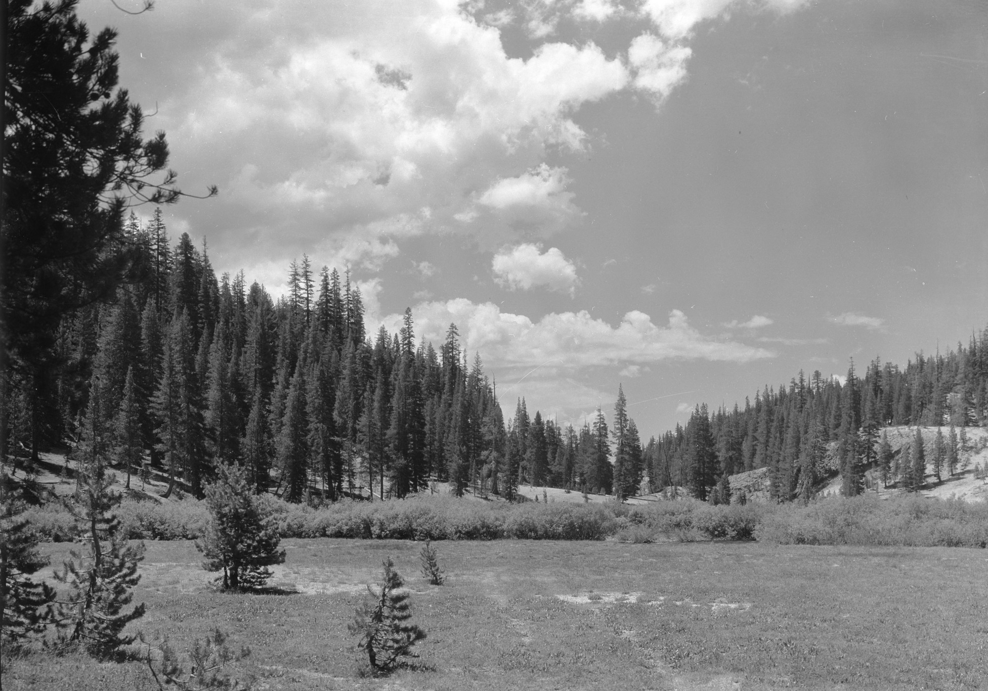 Copy Neg: (CP) L. Radanovich, 11/2002. "From Campground looking over Soda Springs Mds. 1/4 mile from Devils Postpile."