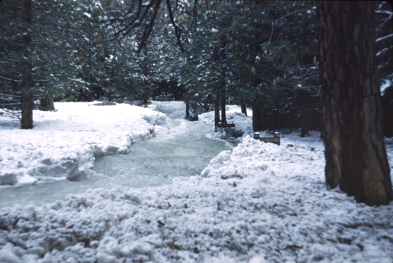 Yosemite Creek