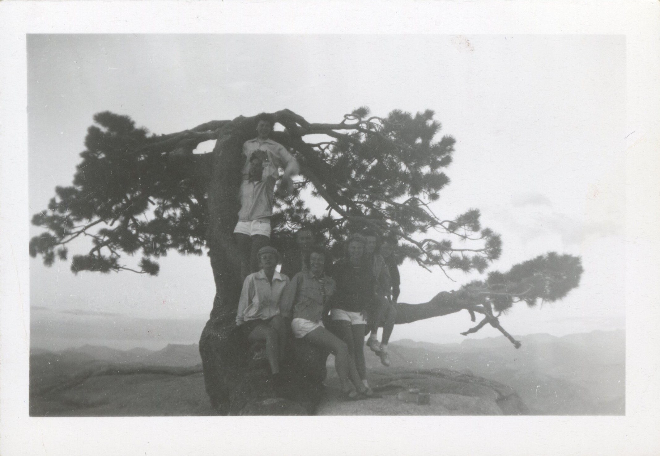 Group of nurses sitting in Sentinel Dome's historic Jeffrey Pine