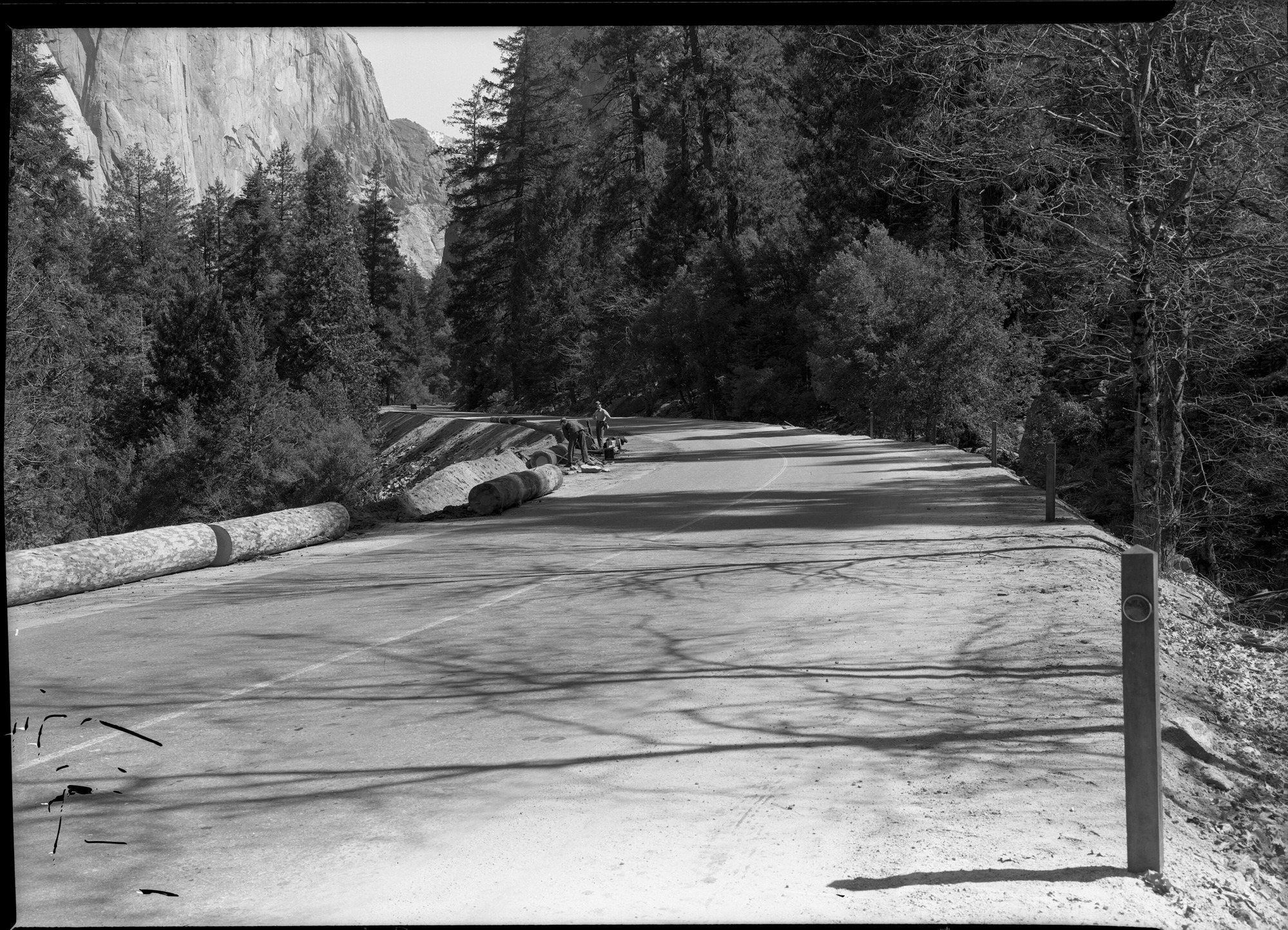Wawona Road