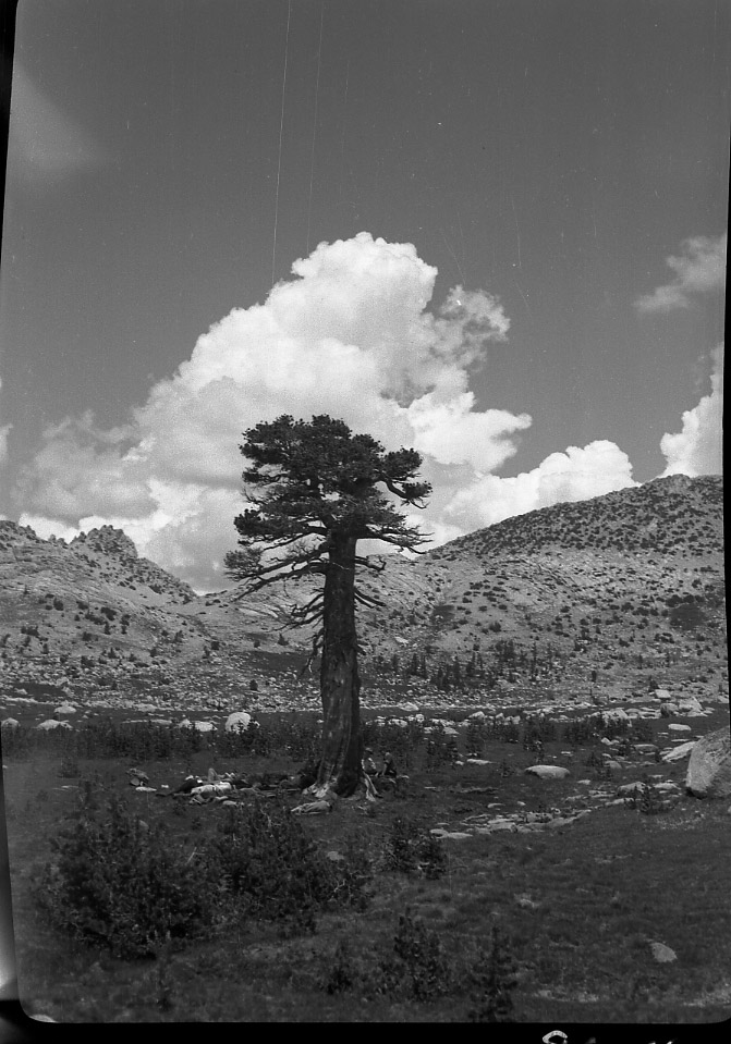 Joseph Dixon Collection