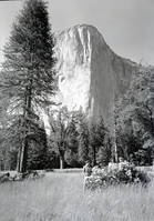 Lindemann Girls with azaleas.