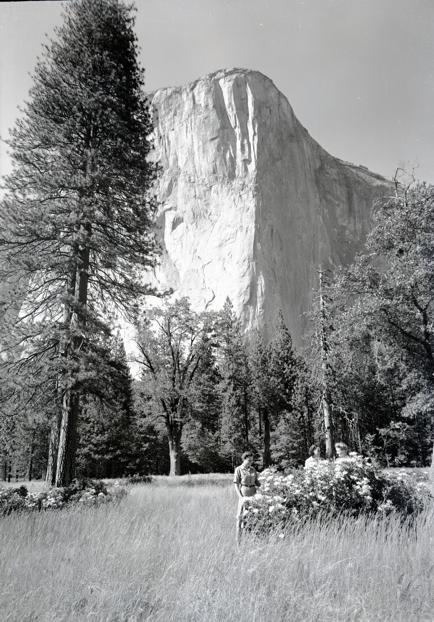 Lindemann Girls with azaleas.