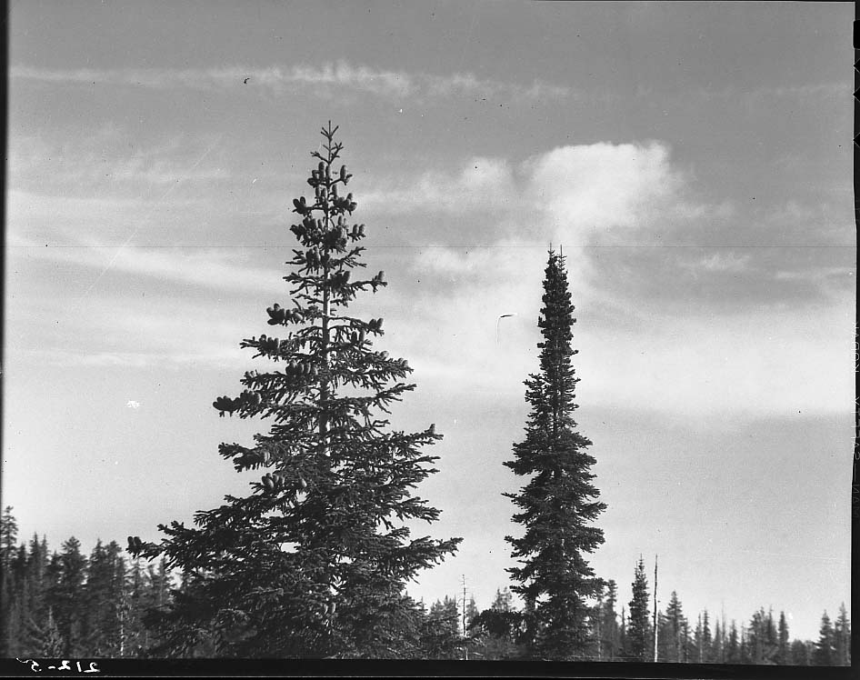 Crater Lake National Park
