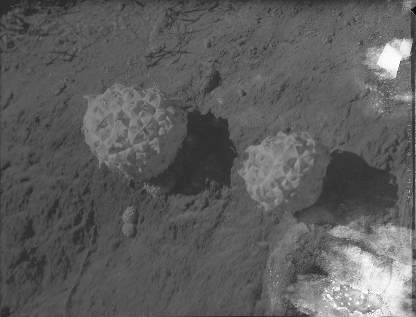 Yosemite National Park