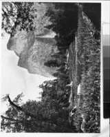 Copy Neg: MD 1866; Figure 10A from A Preliminary Survey of the Influence of White Man On The Vegetation of the Yosemite Valley by Gibbens. The Black Spring area as it appeared in a photograph taken by C. E. Watkins in 1866. Original print copied by Gibbens.