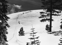 In early morning Skiers coming down off of Sentinel Dome for Jack Kuhne, Fox Movie-tonews short subject.