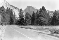 View across site of old elk paddock.