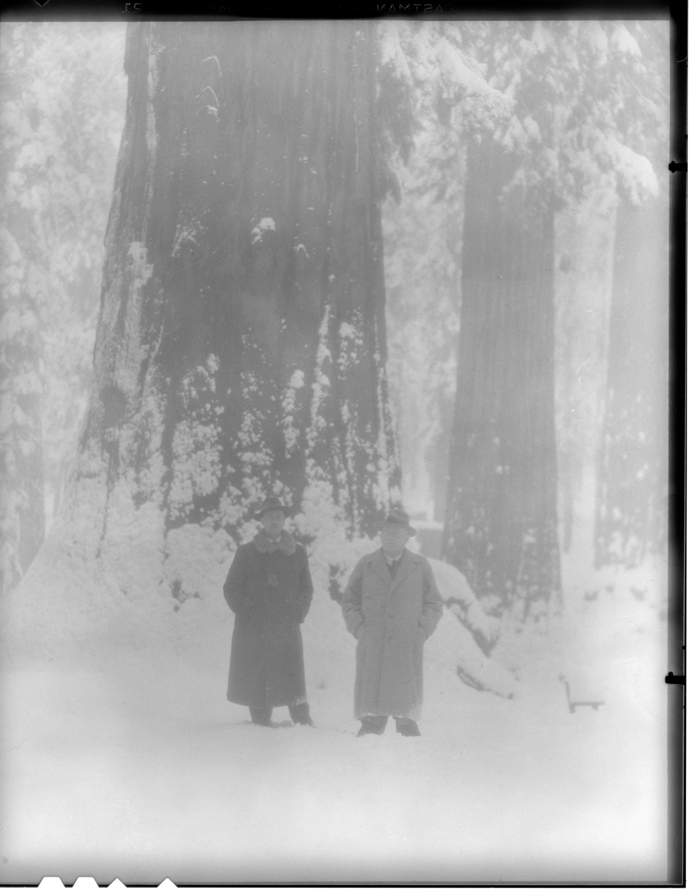 Dr. Hans Luther and aide in Big Trees.