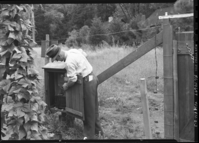 Will Ellis inspecting the electric fence at the Victory Garden.
