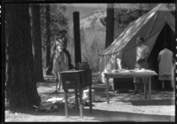 Ranger Nelson inspecting public campgrounds.