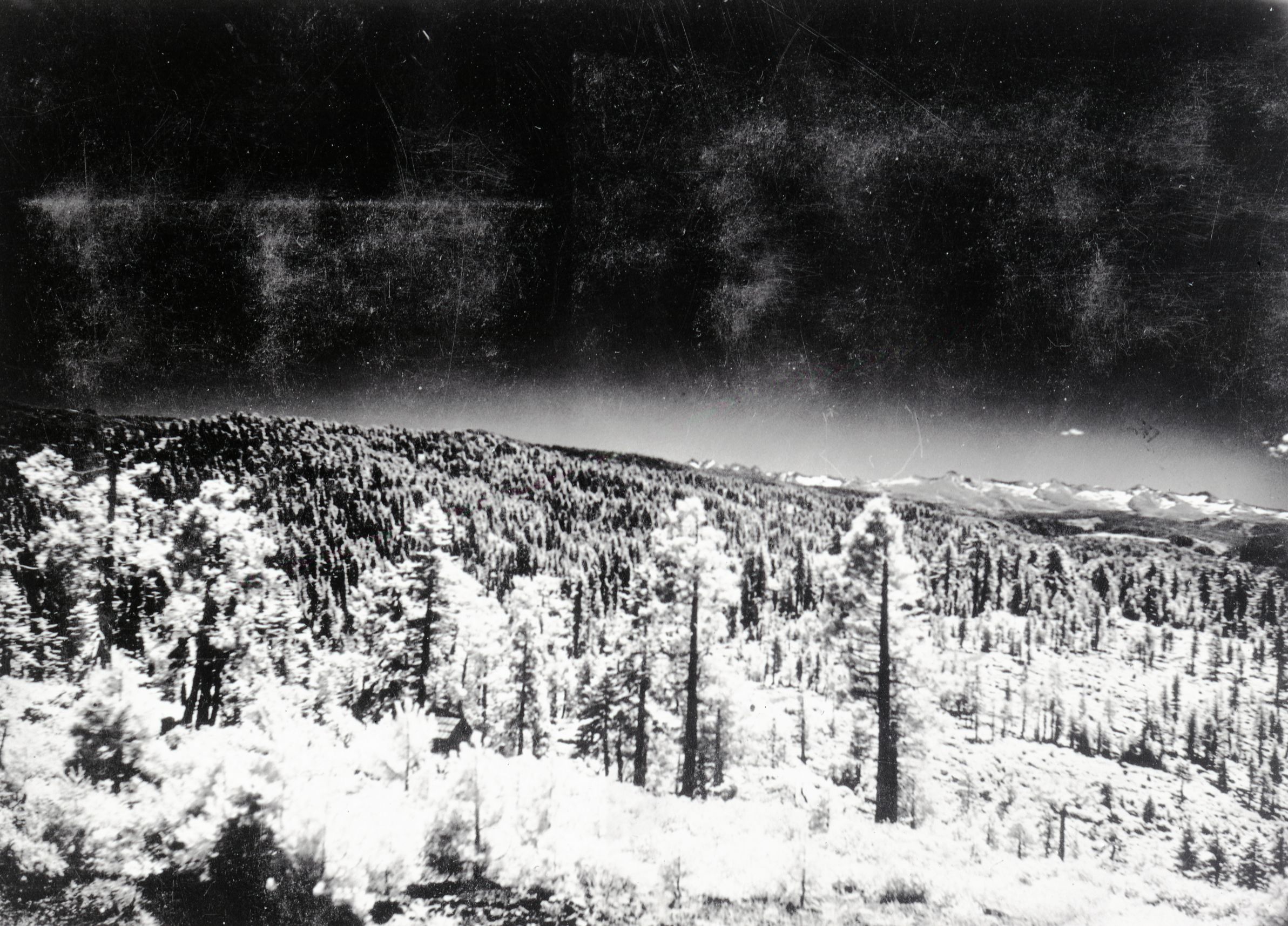 Infared scenic. Sopied from Art Holmes album (NPS employee). Copied September 1983 by Michael Dixon.