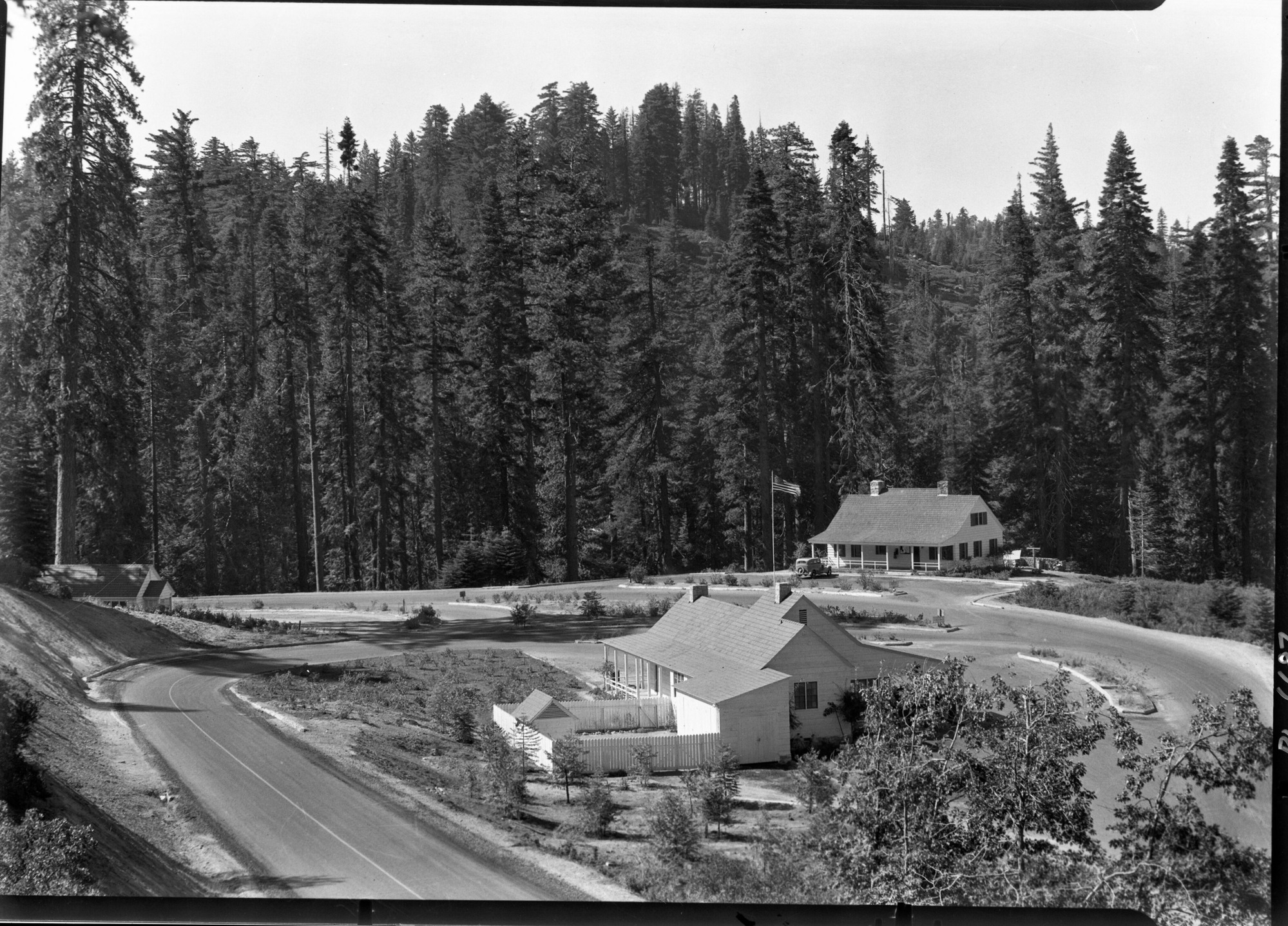 Chinquapin area from the new Glacier Point Road.