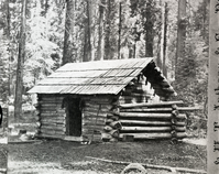Detail of L. Smaus stereo (RL-16,502). Caption: "38. Clark's Rest. Mariposa Grove." Copy Neg: July 1985 by Michael Dixon