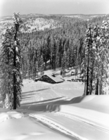Badger Pass from moving Upski.