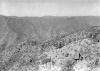 #6 of 8 views from Pinoche Peak, as a possible location for a fire lookout. The 8 views make a 360 degree picture.