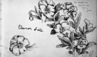 Autograph of Eleanor Sell. Copied from the autograph books of Dorothy & Nellie Atkinson. Copied courtesy Bonnie Douthit. Copied October 1980 by Michael Dixon.