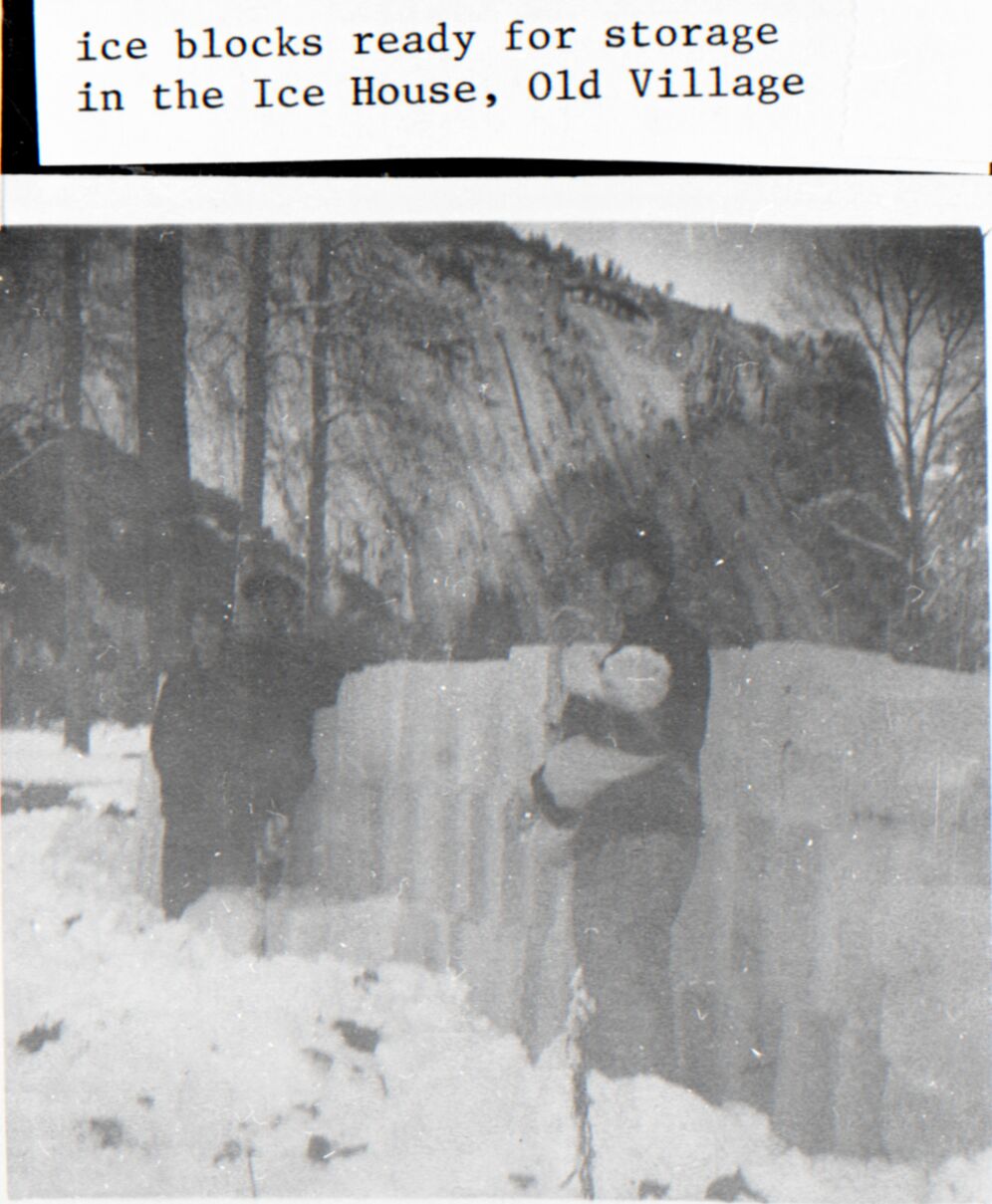 Ice blocks ready for storage in the Ice House, Old Village. Copied from the Wegner photo album.