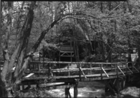 Berkeley Municipal Camp in rustic setting. Off of Hwy 120/Harden Flat Road