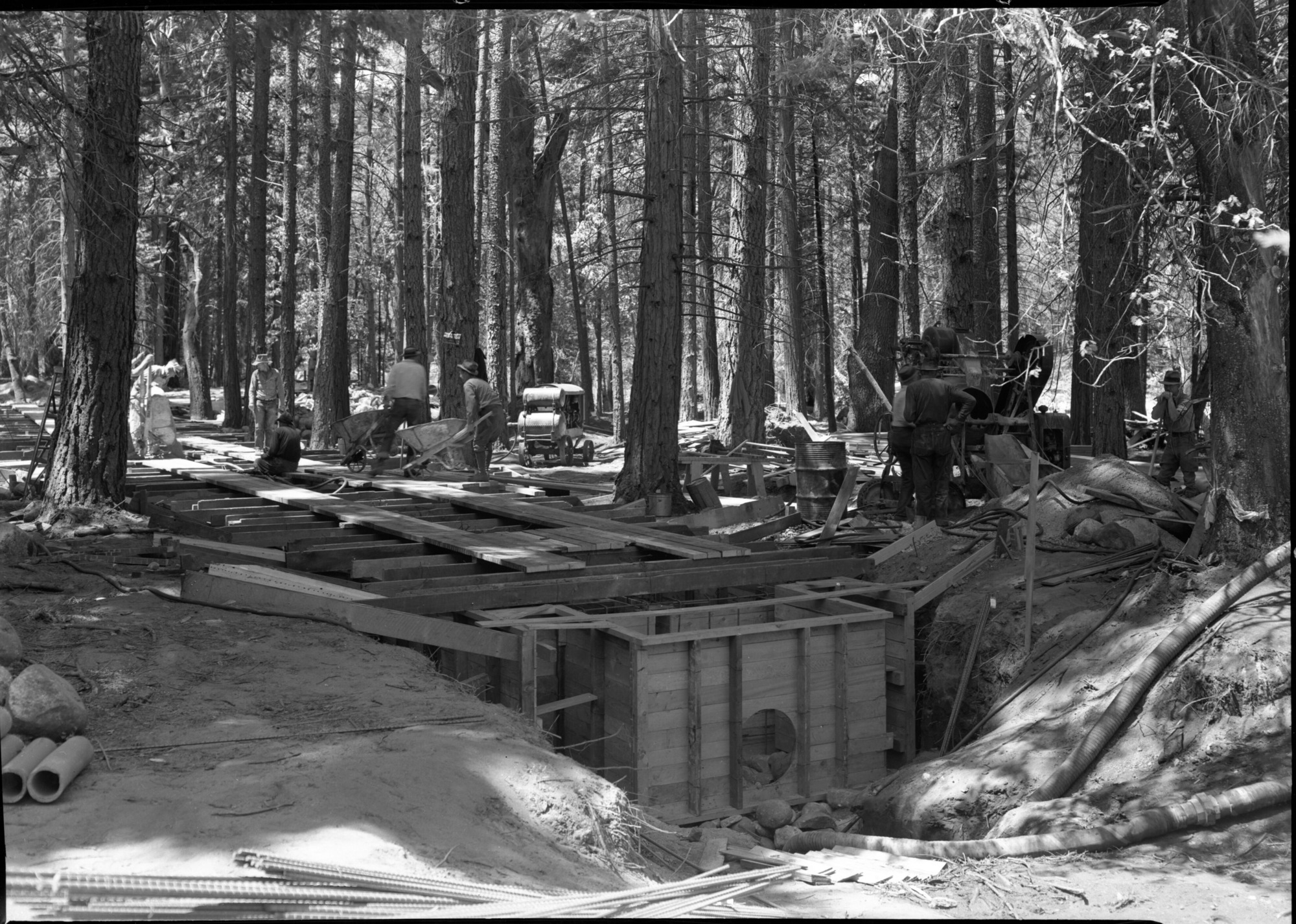 Sewage Disposal Plant