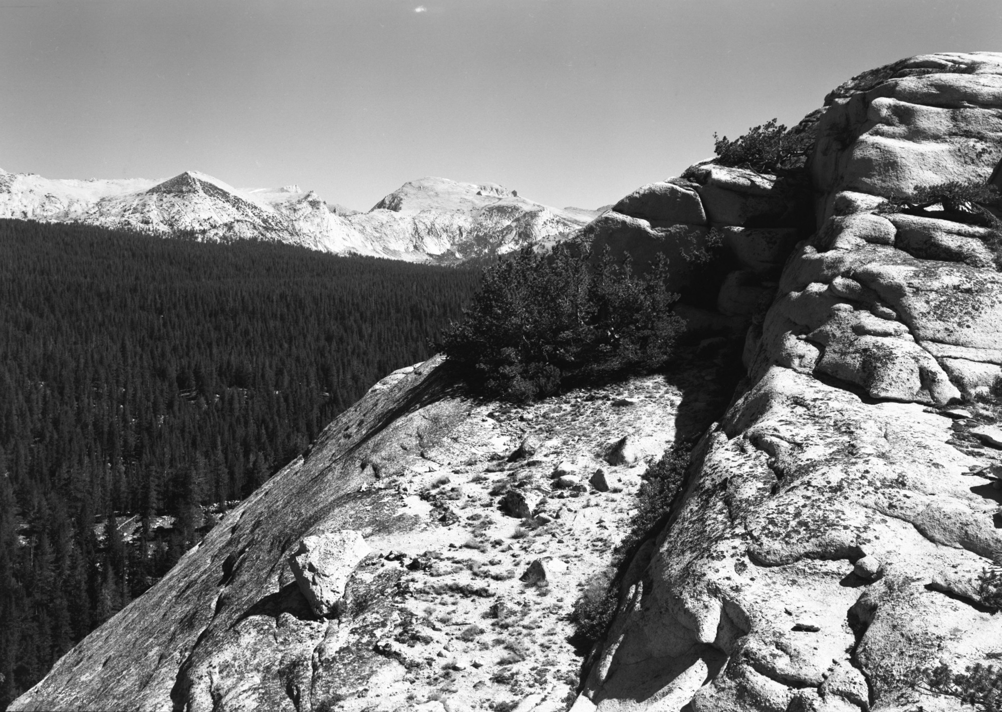 Looking northeast from Lembert Dome.