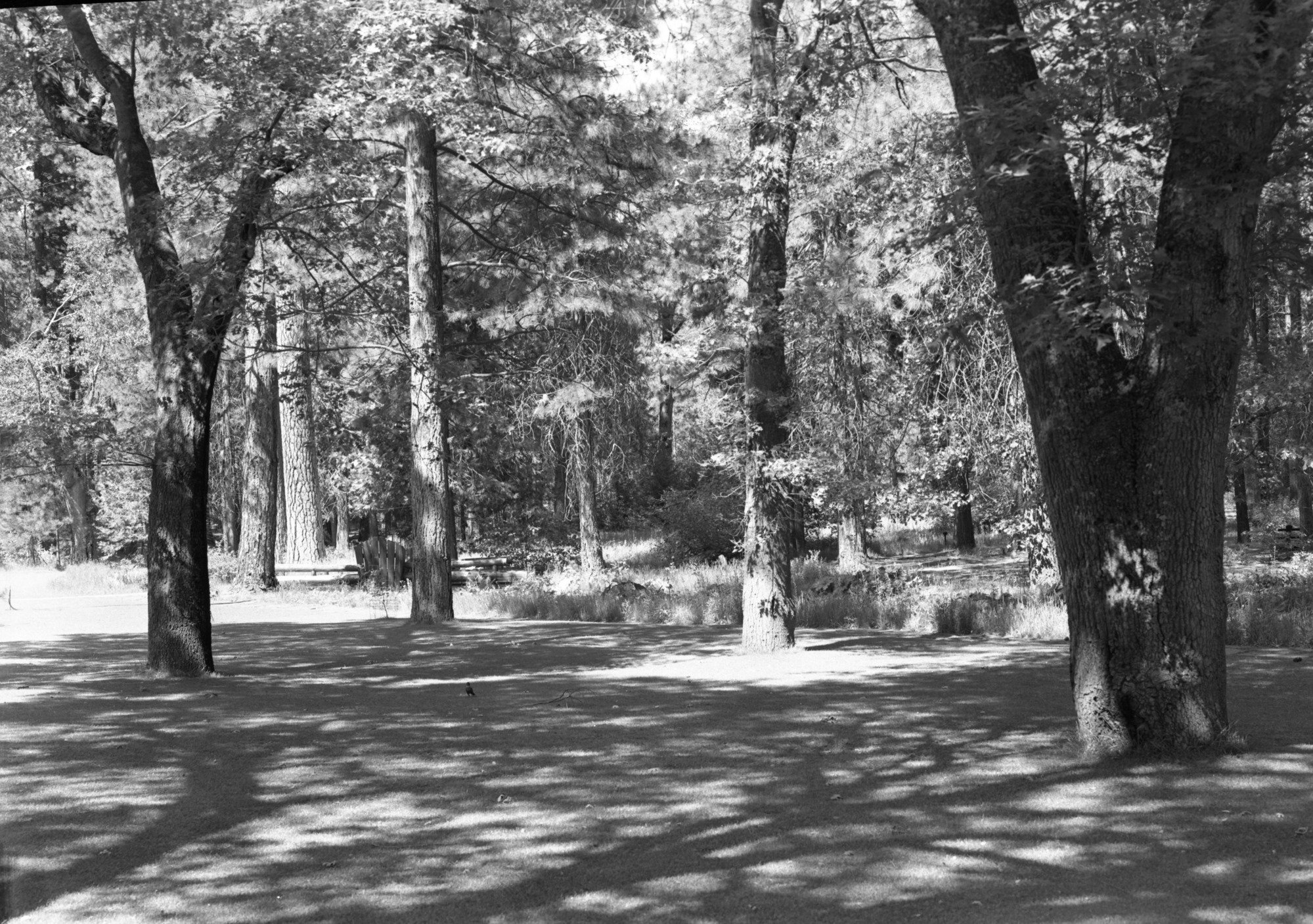 Site of old office building of Kennyville