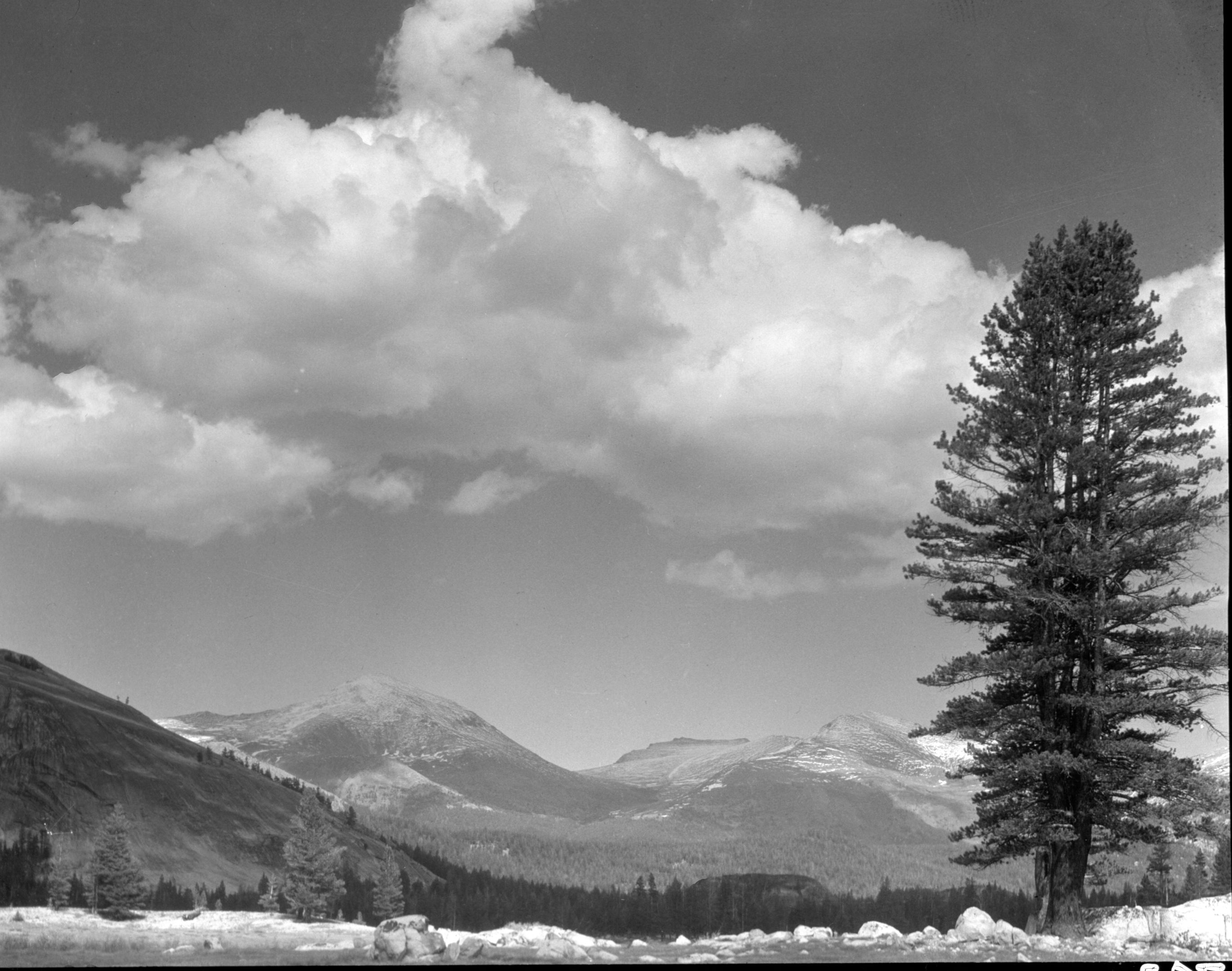 Lembert Dome, Mt. Gibbs, & Mammoth Peak.