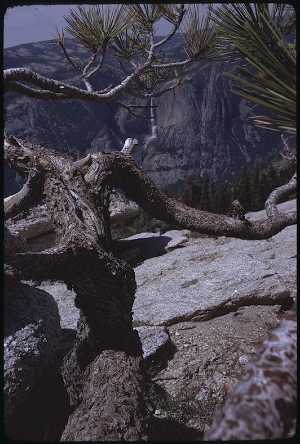 Sentinel Dome