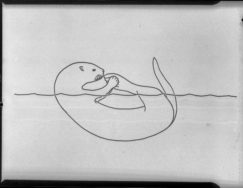 Otter Drawings