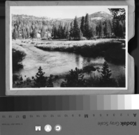 View north from near Postpile showing Soda Spring Meadow. Job No. 101.